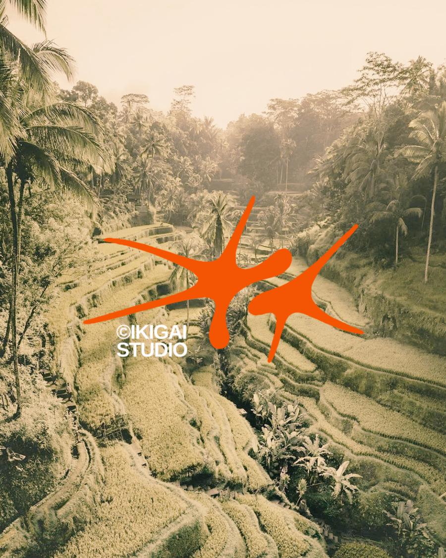 Rice terraces in soft haze, stamped with the IKIGAI mark